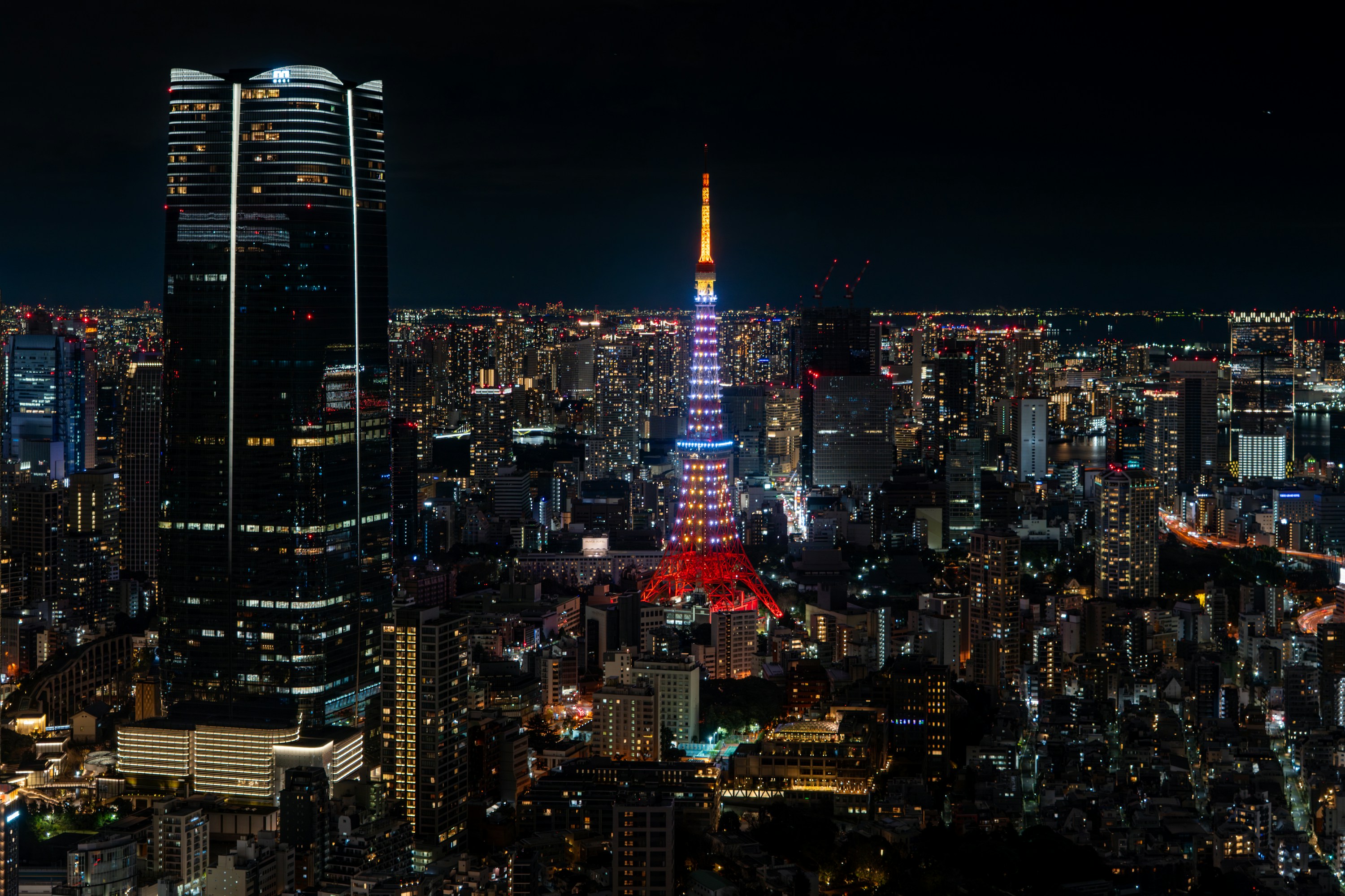 Tokyo city skyline at night